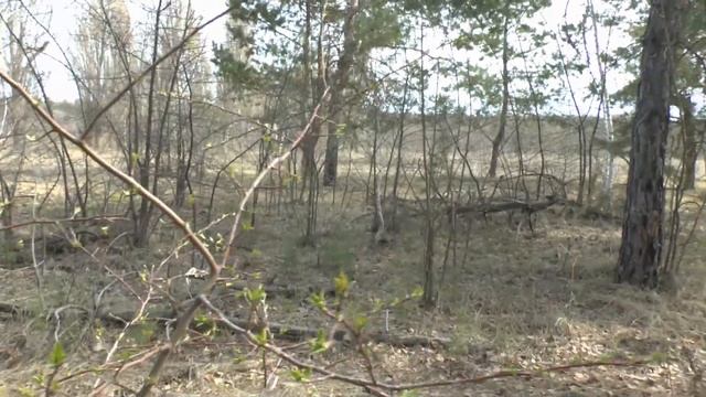 Одиночка 13 04 2023 ПВД Анонс смотреть онлайн