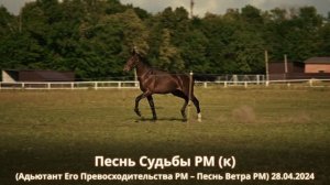 Песнь Судьбы РМ (к) (Адьютант Его Превосходительства РМ – Песнь Ветра РМ) 28.04.2024