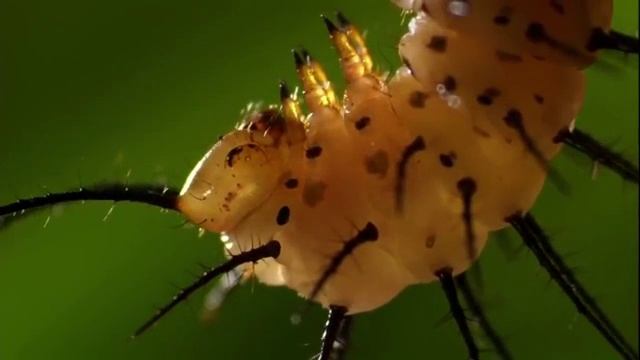 00000000000020 смотреть онлайн