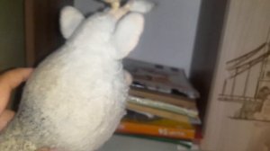 Буба и его друзья | 0 серия | Начало | Мультики для детей (Пилотная серия)