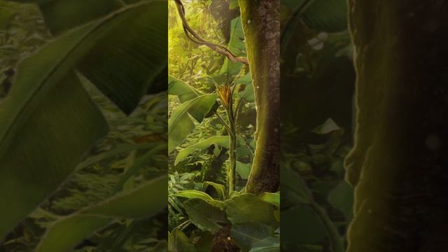 Паруса в тумане | 5 сезон | 1 серия