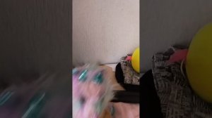 Маша и медведь спрунки серия 2 до весны не будить