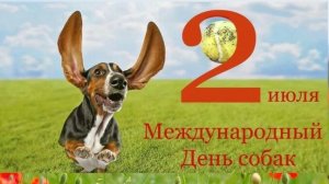 02.07.25 - Международный День собак
