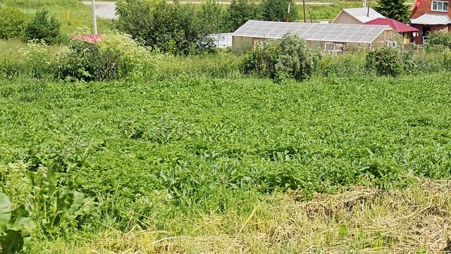 1000065766.mp4 смотреть онлайн