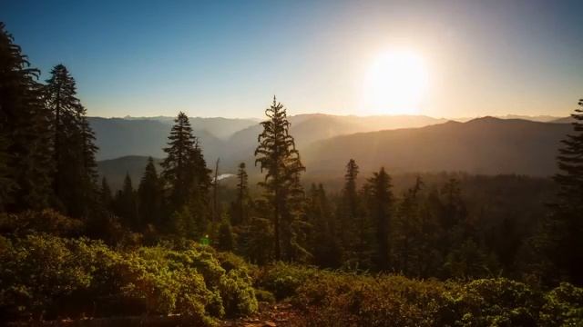 Мы не первые люди на земле. смотреть онлайн