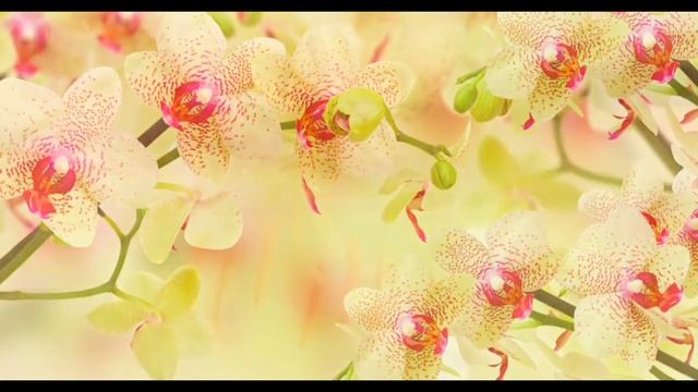 Мс вспышкин меня прет смотреть онлайн