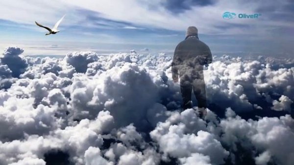 Одиночка PSV63 тест3 По пояс в небе 09 2023