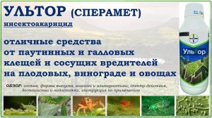 Ультор и Сперамет - отличные средства от клещей и сосущих вредителей на
плодовых, винограде и овощах