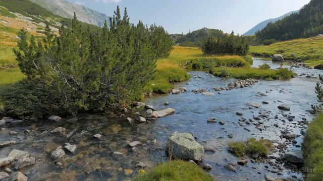 Высокие+горы+-+звуки+природы.+Природа.+Реки,+Озёра,+Луга,+Горизонты.+Живая+Природа-00.26.52.027-00.2 смотреть онлайн