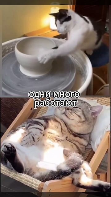 Чёткое разделение труда на работе #работа #юмор #заработоквинтернете #работаонлайн