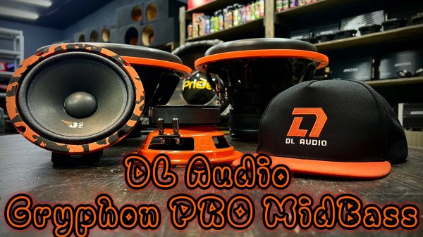 DL Audio Gryphon Pro 165 Midbass