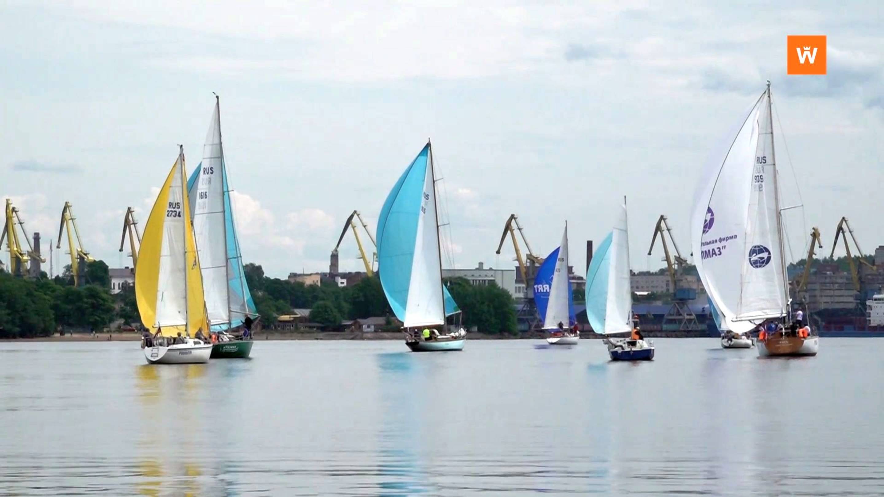 Программа «Город. Новости по-выборгски» от 1 июля 2025 года смотреть онлайн