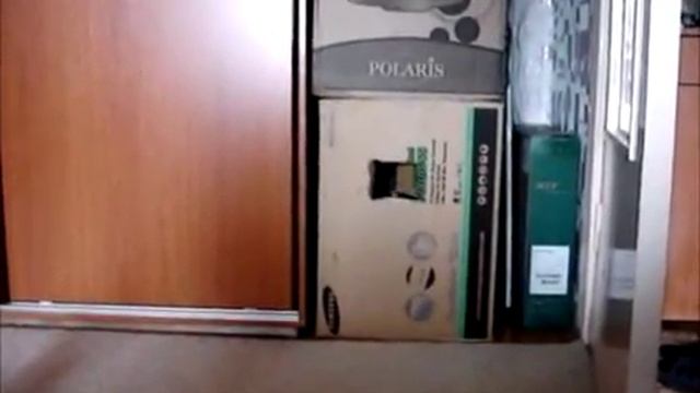 Любимая игра кота.