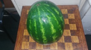 Астраханский арбуз