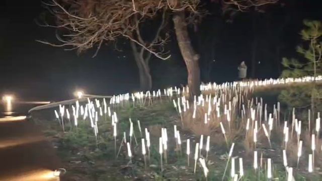 #11 🚡Канатная дорога в небеса 🩵💙 Набережная КАБАРДИНКИ 👉 Парк Молодежный в Геленджике 🇷🇺 ❤️ #Р смотреть онлайн