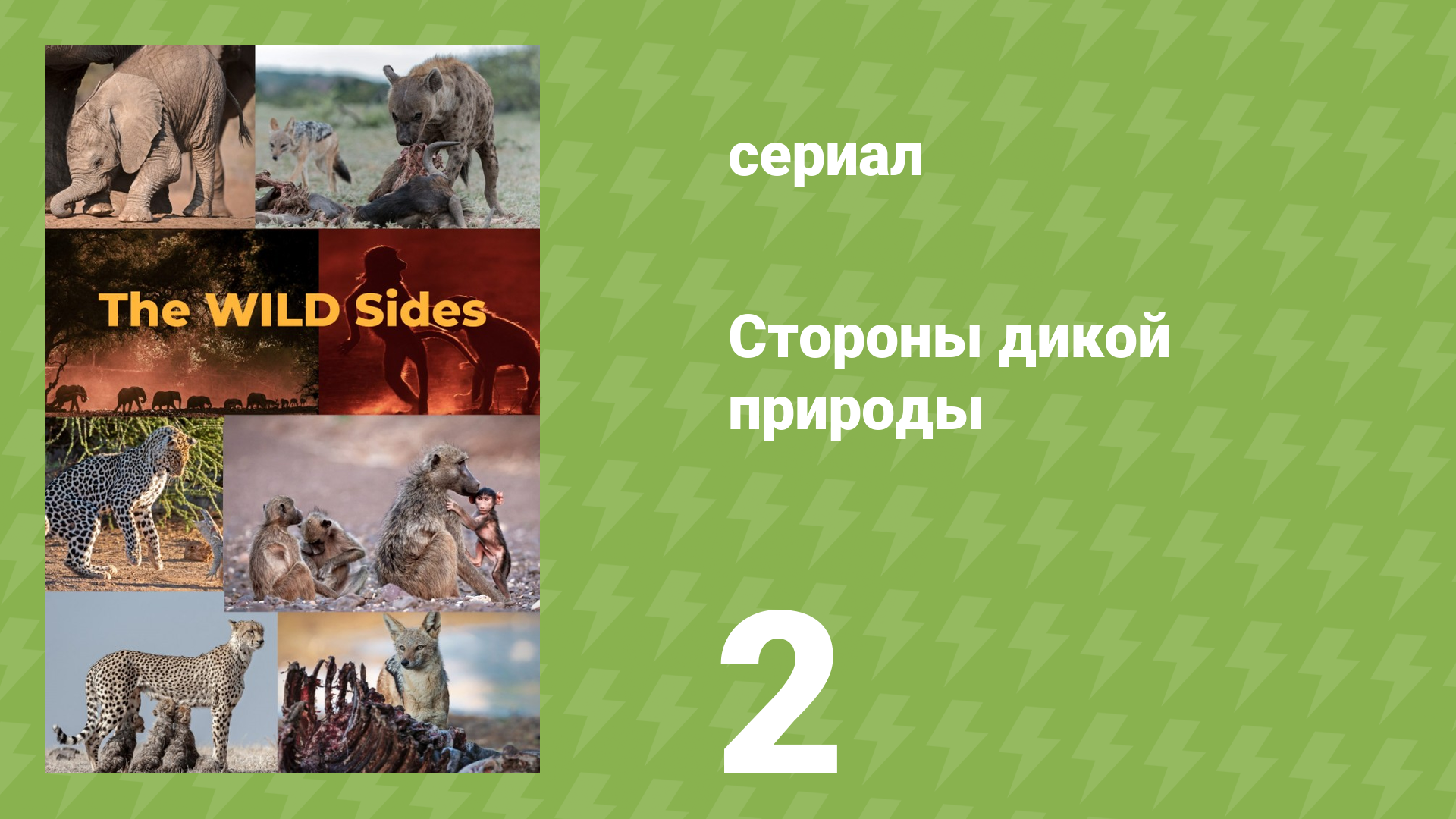 Стороны дикой природы 2 серия «Потоп и враги» (документальный сериал, 2023) смотреть онлайн