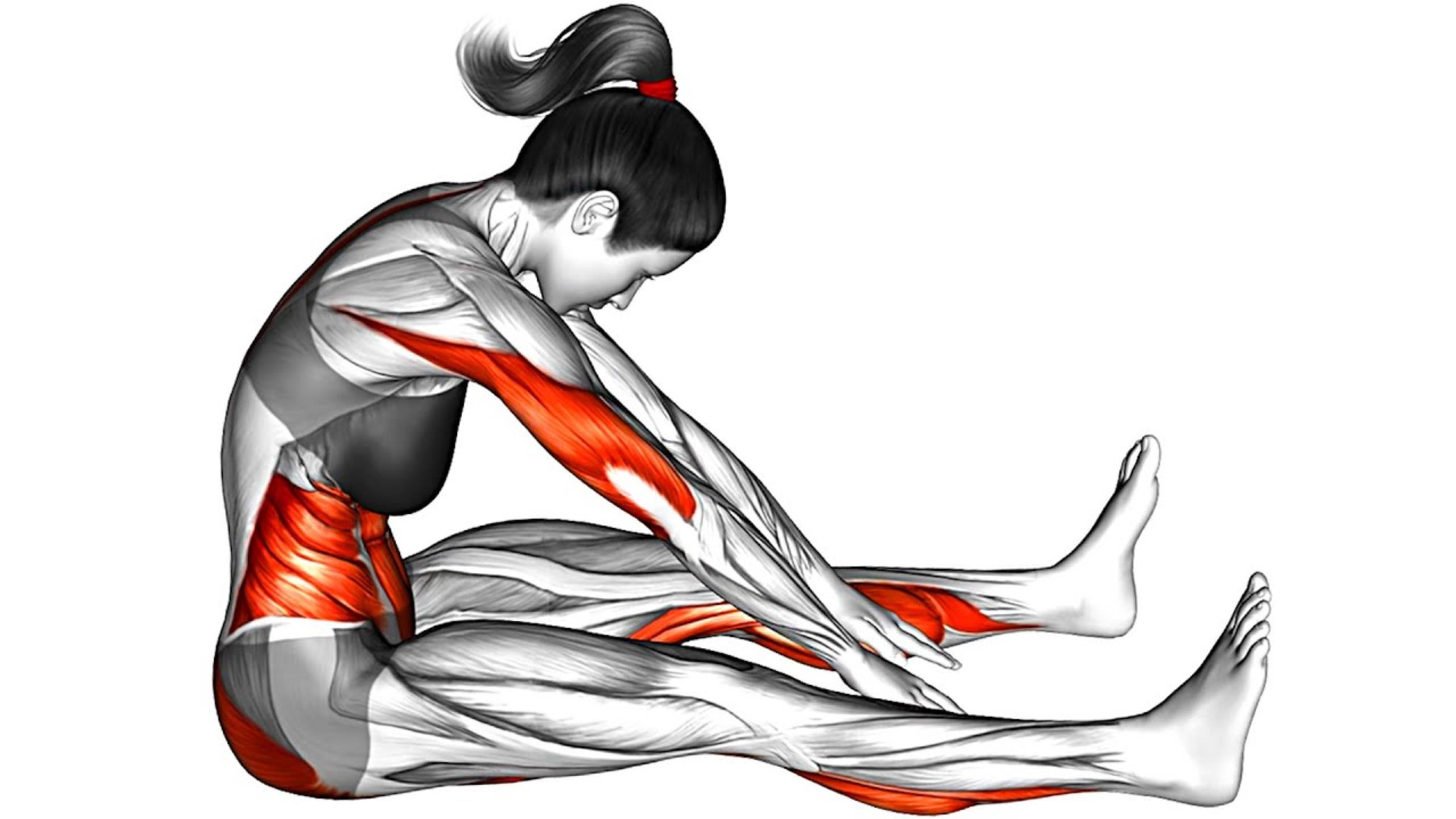 Моя Утренняя Растяжка сидя