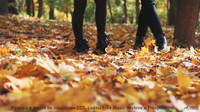 Видео, которое можно понять только с расширенным сознанием - испытайте! - Mushrooms -- HoliznaCC0 --