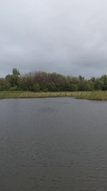 Атаки щуки на поппер смотреть онлайн
