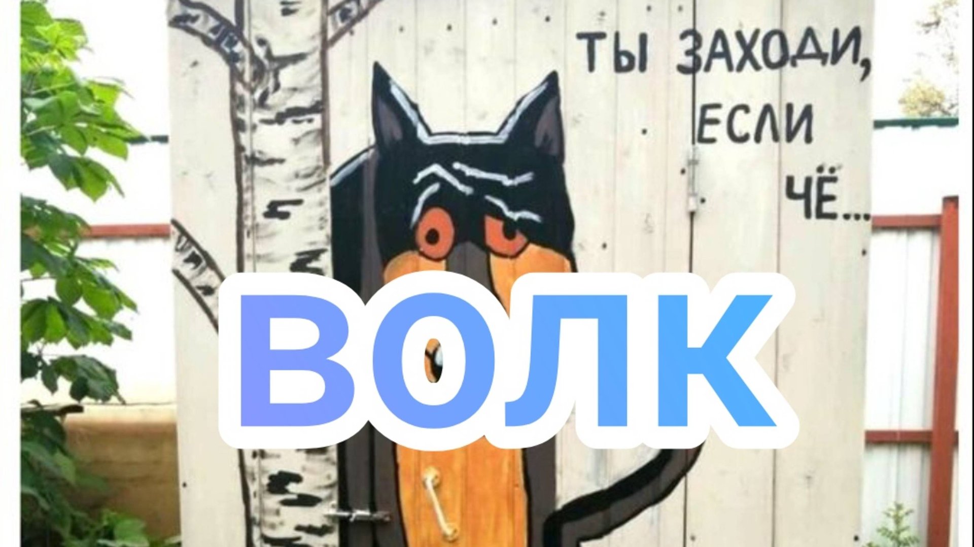 волк смотреть онлайн