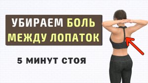 5 мин Растяжка СЕРЕДИНА СПИНЫ + ЗОНА МЕЖДУ ЛОПАТОК // Убираем напряжение и сутулость (стоя)
