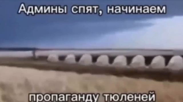 Пропаганда тюленей смотреть онлайн