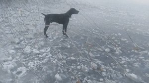 Пёс 1 сезон 2 серия зима мп