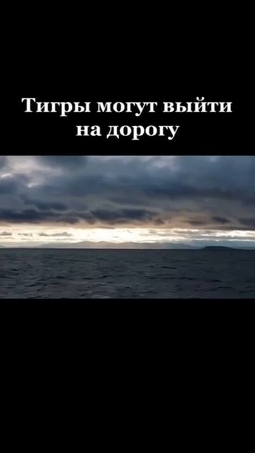 Люблю тебя , Владивосток смотреть онлайн