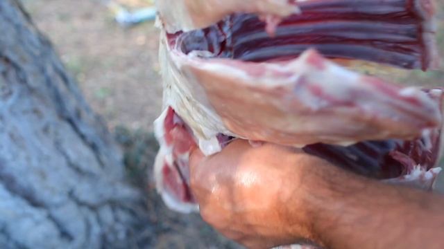 ПОЖАРИЛИ МНОГО ШАШЛЫКОВ с ГАРНИРОМ смотреть онлайн