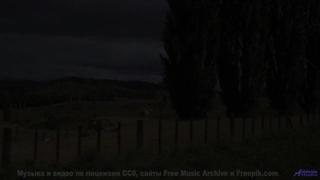 Что на самом деле происходит в этом лесу Это невероятно! - Pockets -- Derek Clegg -- Faces (re-relea