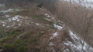 Пёс 2 серия 4 сезон  зимняя охота