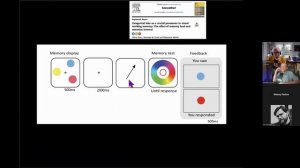 Проблемы феноменального сознания. Часть 2