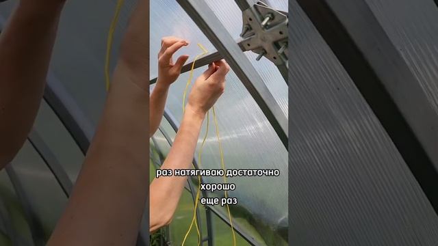 Как правильно подвязывать растения в теплице и почему мы отказались от свободной петли. смотреть онлайн