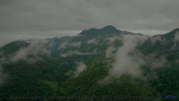 Почему это видео УДАЛЯЮТ с YouTube - 13 One-Percent-Rule -- Shaolin Dub -- Preservation