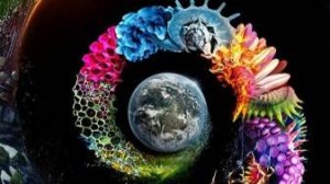 Неизвестная планета Земля 3 серия «Щит» | NAT Geo