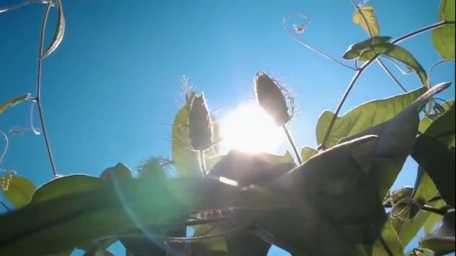 00017 смотреть онлайн