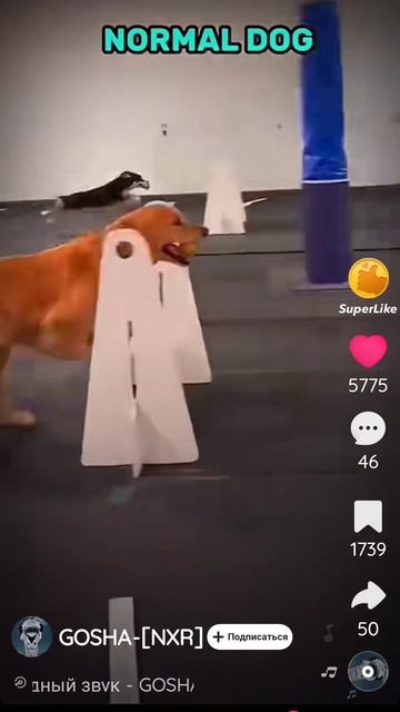 это чё за пи*** смотреть онлайн