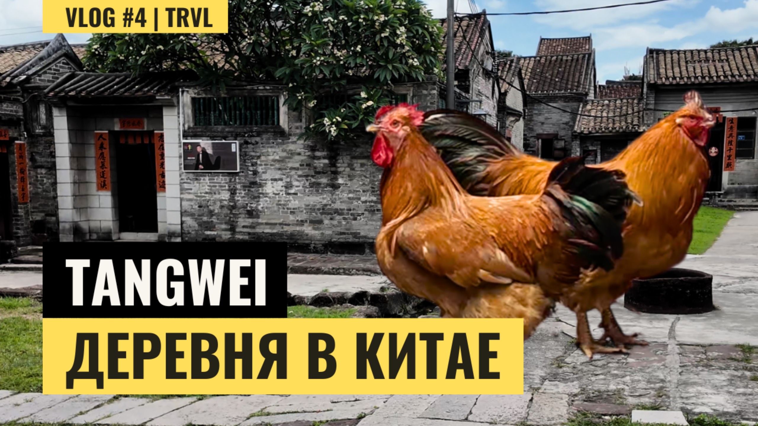 Китайская деревня без туристов — жизнь в Tangwei смотреть онлайн