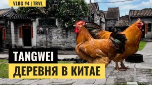 Китайская деревня без туристов — жизнь в Tangwei