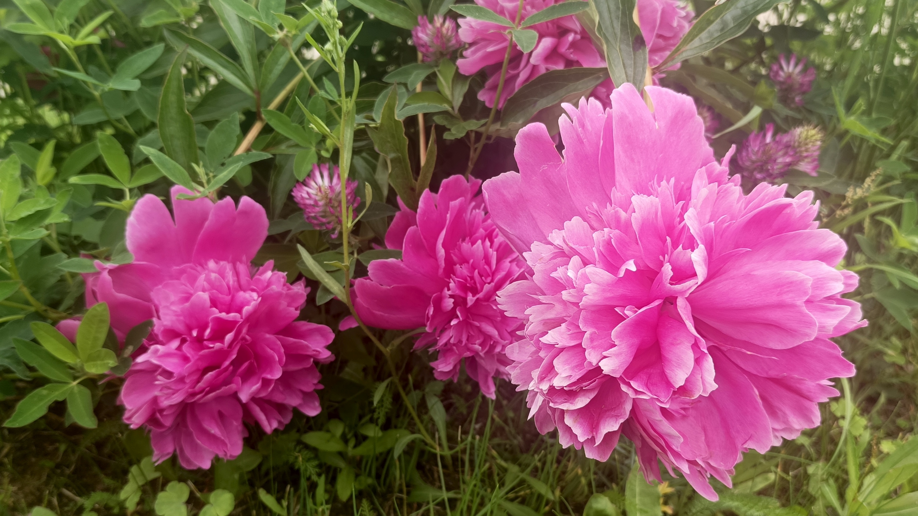 02-07-2025💥Влог💥среда смотреть онлайн