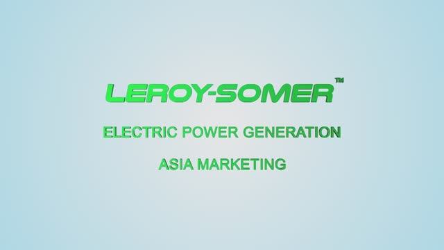 Leroy-Somer