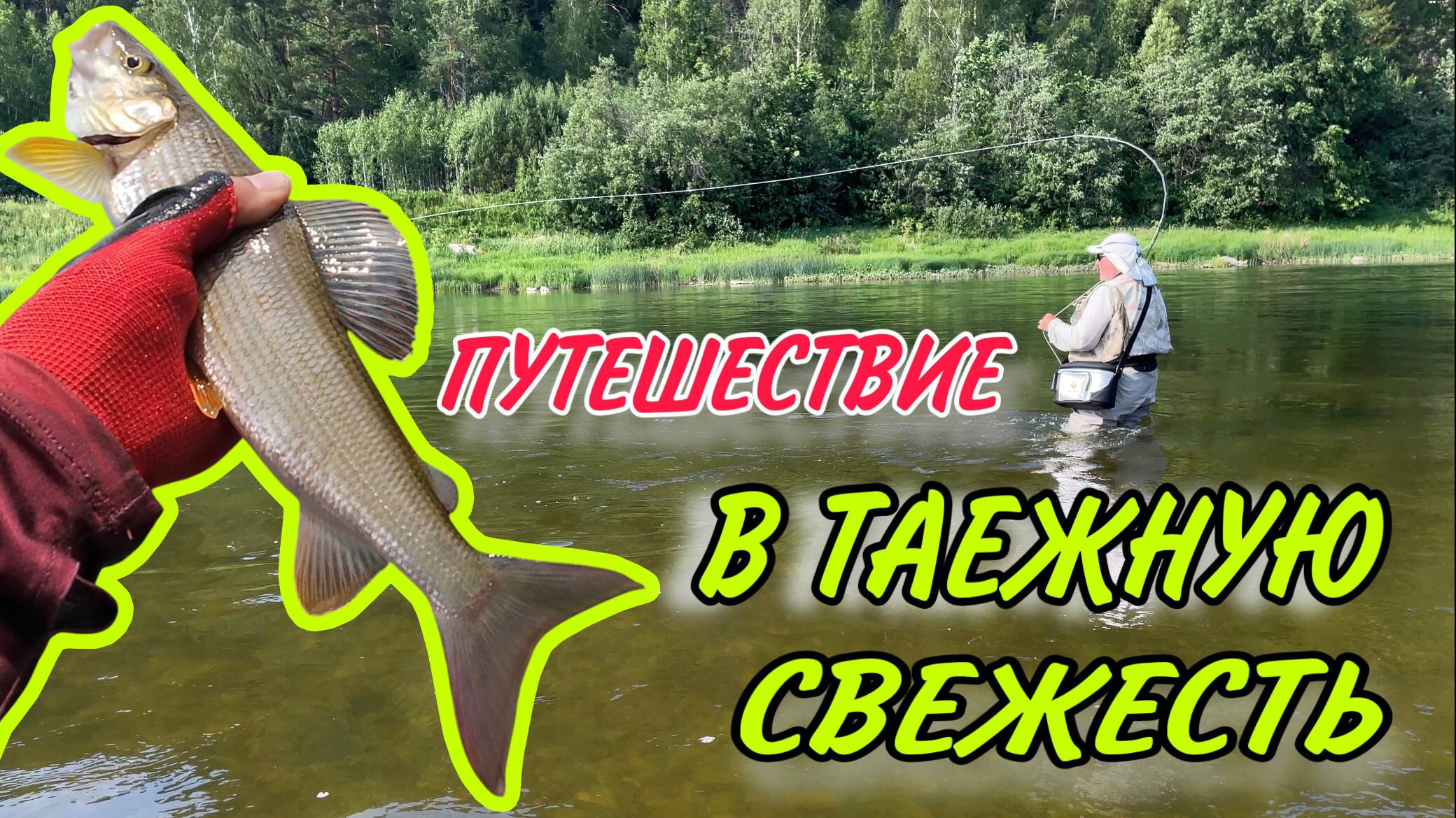 Путешествие в тайгу на рыбалку за хариусом. Рыбалка на хариуса в Пермском крае смотреть онлайн