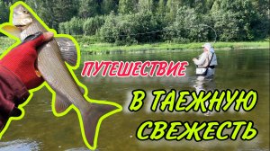 Путешествие в тайгу на рыбалку за хариусом. Рыбалка на хариуса в Пермском крае