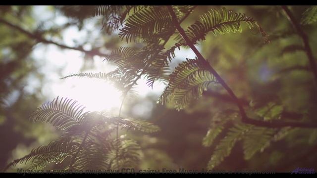 Этот клип покажет, зачем люди любят путешествовать - URLauB -- Phillip Gross -- HoLiDaYS