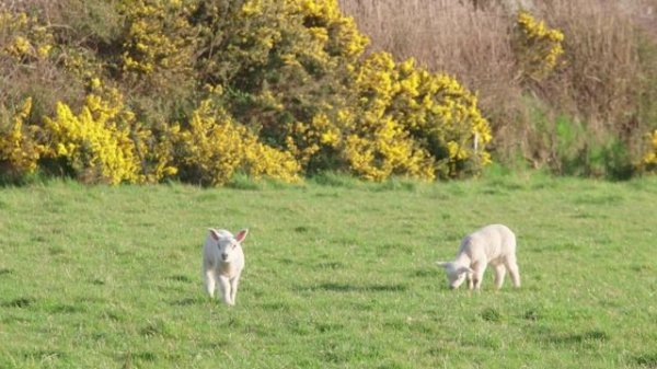 The Marías - No One Noticed