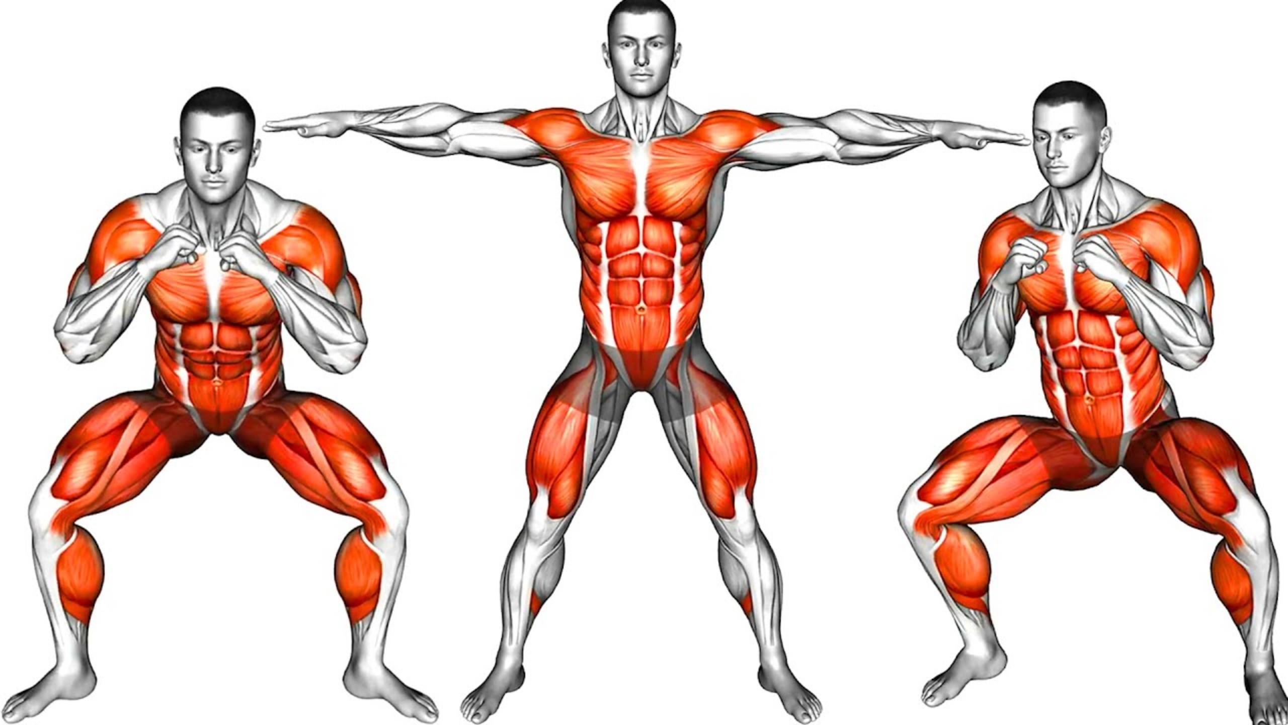 Увеличьте Метаболизм и Сжигайте калории (без оборудования, стоячая тренировка) смотреть онлайн