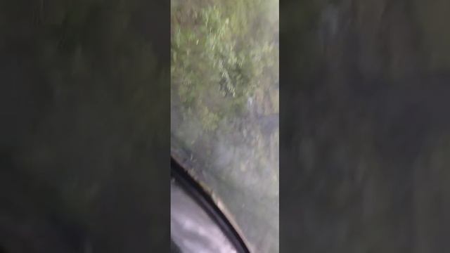 На Буханке через лес 🌲🌳🚗💨 #лес #буханка #дорога смотреть онлайн