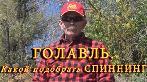 Константин Кузьмин. ГОЛАВЛЬ. Какой подобрать СПИННИНГ, 2024 год