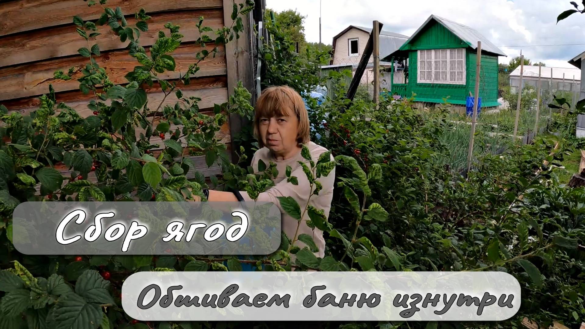 СБОР ЯГОД ОБШИВАЕМ БАНЮ ИЗНУТРИ смотреть онлайн