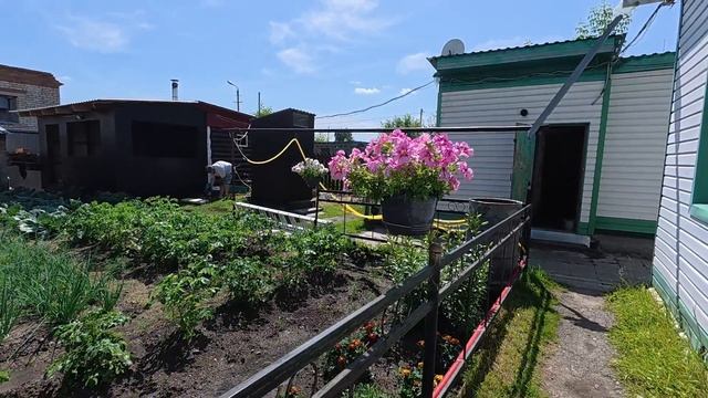 Сушу Иван - чай. муж насмешил смотреть онлайн